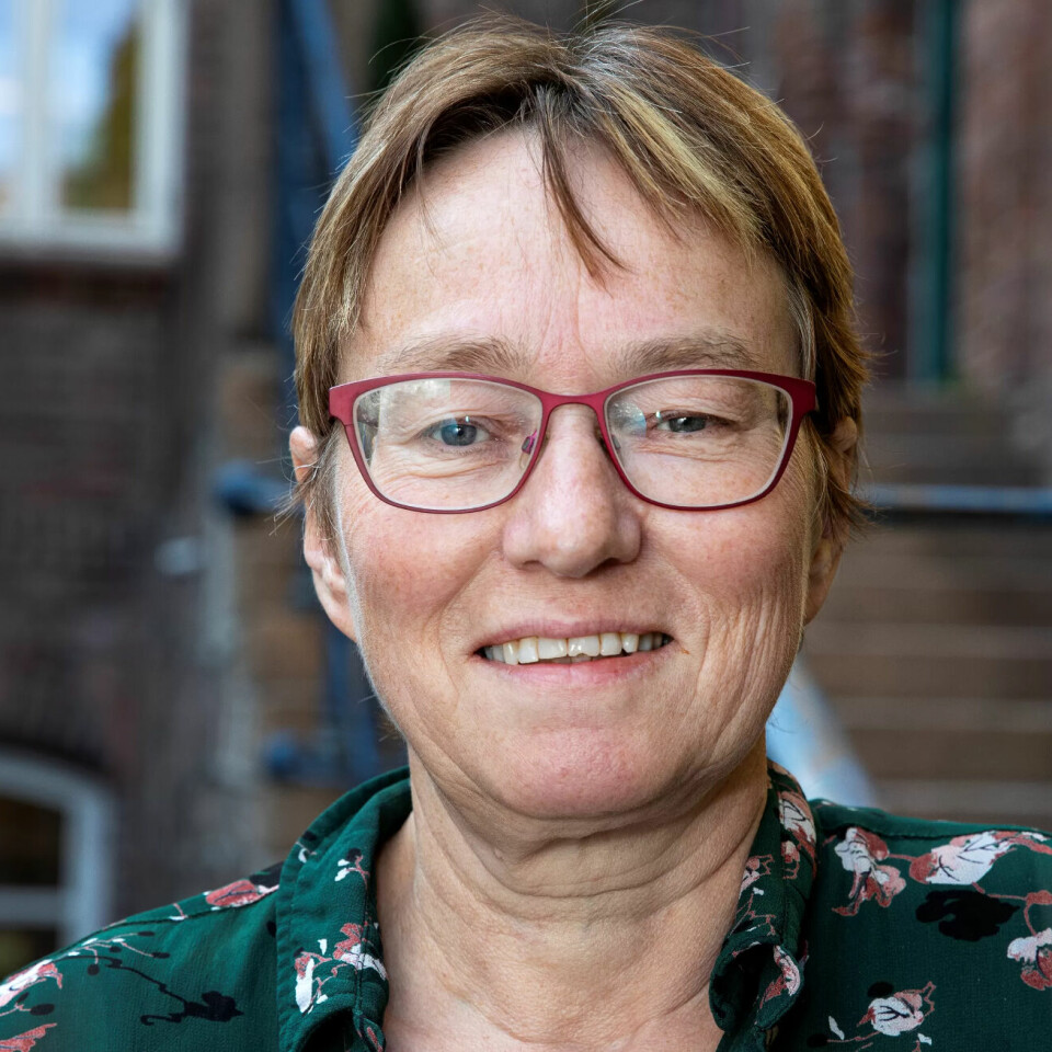 Forsker i forskningsstiftelsen Fafo, Kristine Nergaard, tror grepene danskene har tatt, også ville skapt reaksjoner i Norge. Forsker i forskningsstiftelsen Fafo, Kristine Nergaard, tror grepene danskene har tatt, også ville skapt reaksjoner i Norge.