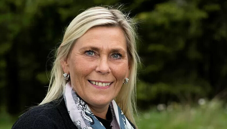 – Vi har prøvd alle mulige linjer, også som ikke har tilknytning til fagbevegelsen, slik som drag. Vi har ikke fått det til, sier styreleder Kristin Sæther. – Vi har prøvd alle mulige linjer, også som ikke har tilknytning til fagbevegelsen, slik som drag. Vi har ikke fått det til, sier styreleder Kristin Sæther.