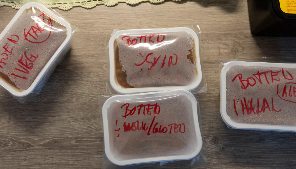 INGEN GRENSER: Cøliaki, halal eller vegetarmat. I Gol er alle sett på som gjester og får den maten de skal og vil ha. INGEN GRENSER: Cøliaki, halal eller vegetarmat. I Gol er alle sett på som gjester og får den maten de skal og vil ha.