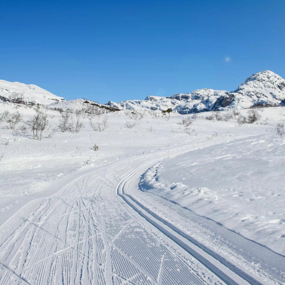 Sånn kan du få masse fri med bruk av få feriedager i år