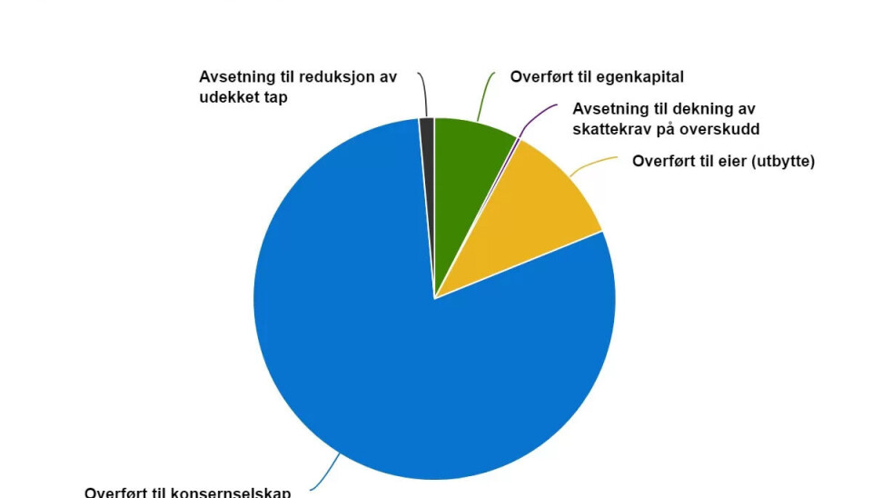 Det lønner seg å drive private barnehager