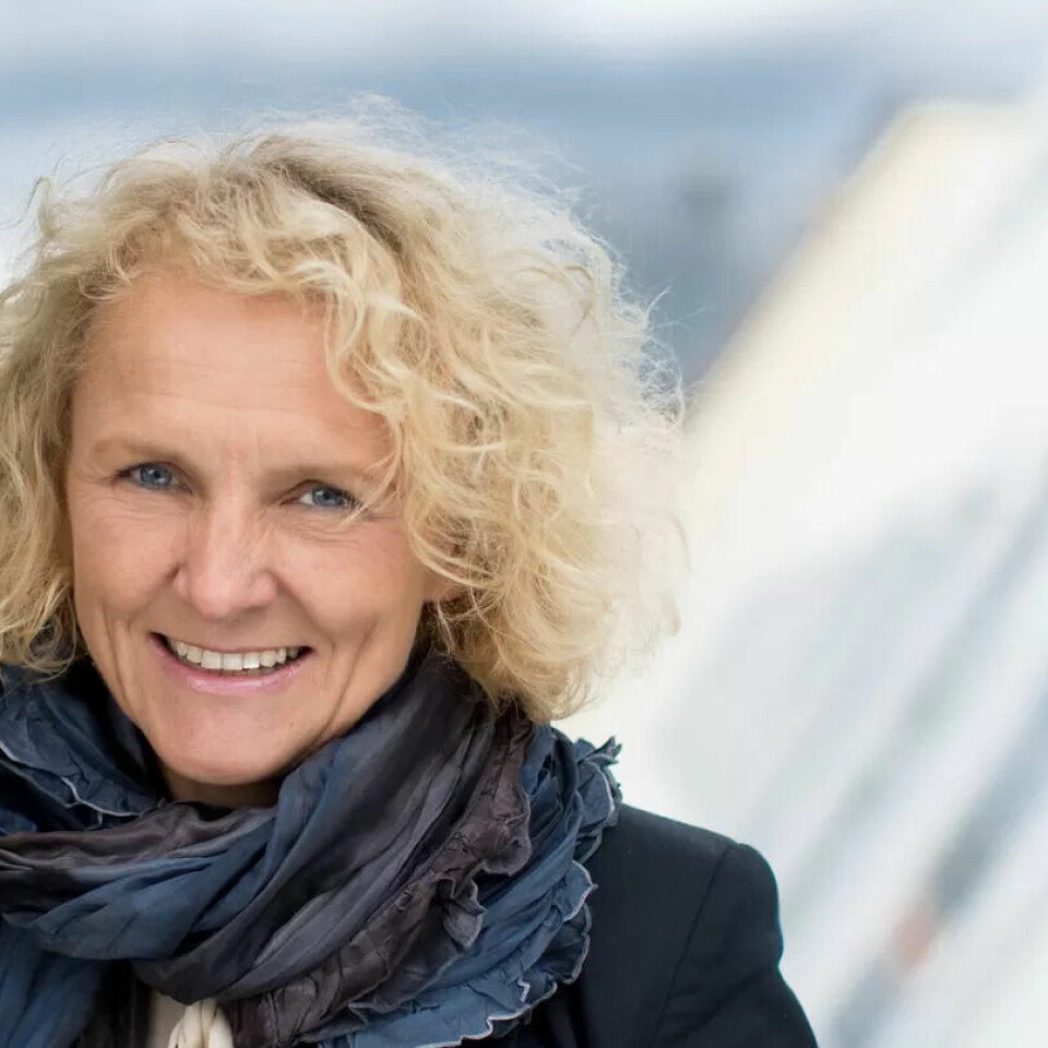 Det er barnevernstjenesten, ikke skolen, som skal vurdere om en familie trenger tiltak fra barnevernet, fastholder Mari Trommald, direktør i Bufdir. Det er barnevernstjenesten, ikke skolen, som skal vurdere om en familie trenger tiltak fra barnevernet, fastholder Mari Trommald, direktør i Bufdir.