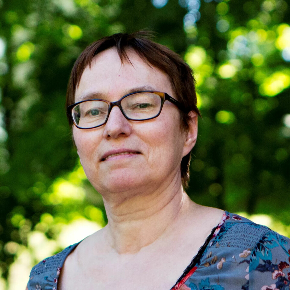Forsker Kristine Nergaard i Fafo. Forsker Kristine Nergaard i Fafo.