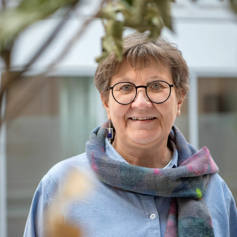 LETTET: – Vi må ha tillit til at tjenestene lokalt vet hvilken kompetanse de trenger, sier Fagforbundets leder Mette Nord. LETTET: – Vi må ha tillit til at tjenestene lokalt vet hvilken kompetanse de trenger, sier Fagforbundets leder Mette Nord.