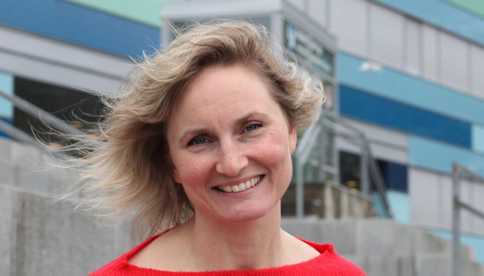 INN PÅ TOPP: På Stortinget tar hun over plassen til tidligere partileder Audun Lysbakken. Samfunnsøkonom og firebarnsmor Marthe Hammer har vært en del av faggruppe økonomi i Fagforbundet sentralt. INN PÅ TOPP: På Stortinget tar hun over plassen til tidligere partileder Audun Lysbakken. Samfunnsøkonom og firebarnsmor Marthe Hammer har vært en del av faggruppe økonomi i Fagforbundet sentralt.