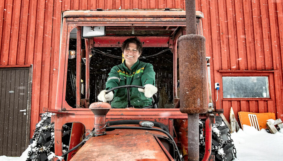 Ap-profilen Helga Pedersen flyttet hjem til sauene i Finnmark og meldte seg inn i Fagforbundet