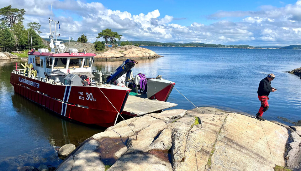 GODVÆR: Det beste ved jobben er å få være ute i naturen og styre seg sjøl, synes Vikerheim. GODVÆR: Det beste ved jobben er å få være ute i naturen og styre seg sjøl, synes Vikerheim.