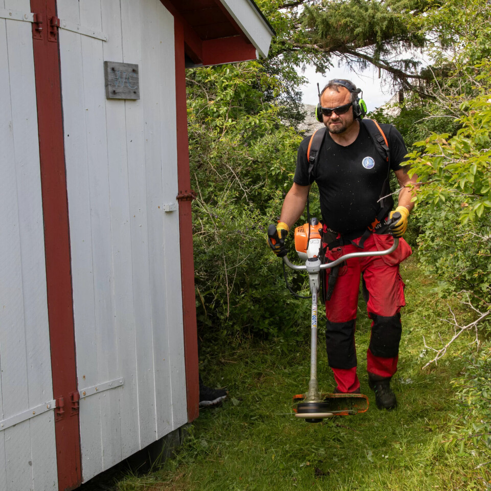 HERFØL: Vegetasjonen må holdes nede ellers gror det igjen. HERFØL: Vegetasjonen må holdes nede ellers gror det igjen.