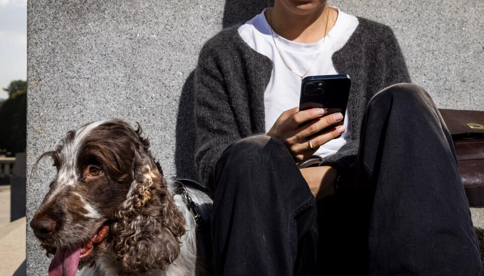 EN FEED TIL BESVÆR: Helt vanlige bilder av treningsturer og ferier ble negative for Pernille da hun var på sitt sykeste. EN FEED TIL BESVÆR: Helt vanlige bilder av treningsturer og ferier ble negative for Pernille da hun var på sitt sykeste.