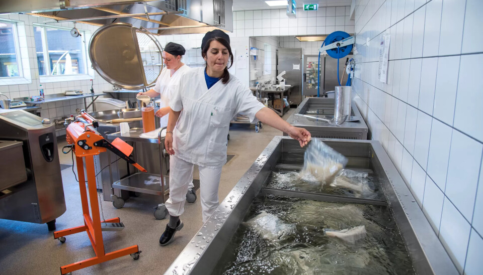 EFFEKTIVT: Linda Sommerro pakker hundre liter havresuppe som Francesca Leva Di Vincenzo leggr til kjøling. EFFEKTIVT: Linda Sommerro pakker hundre liter havresuppe som Francesca Leva Di Vincenzo leggr til kjøling.