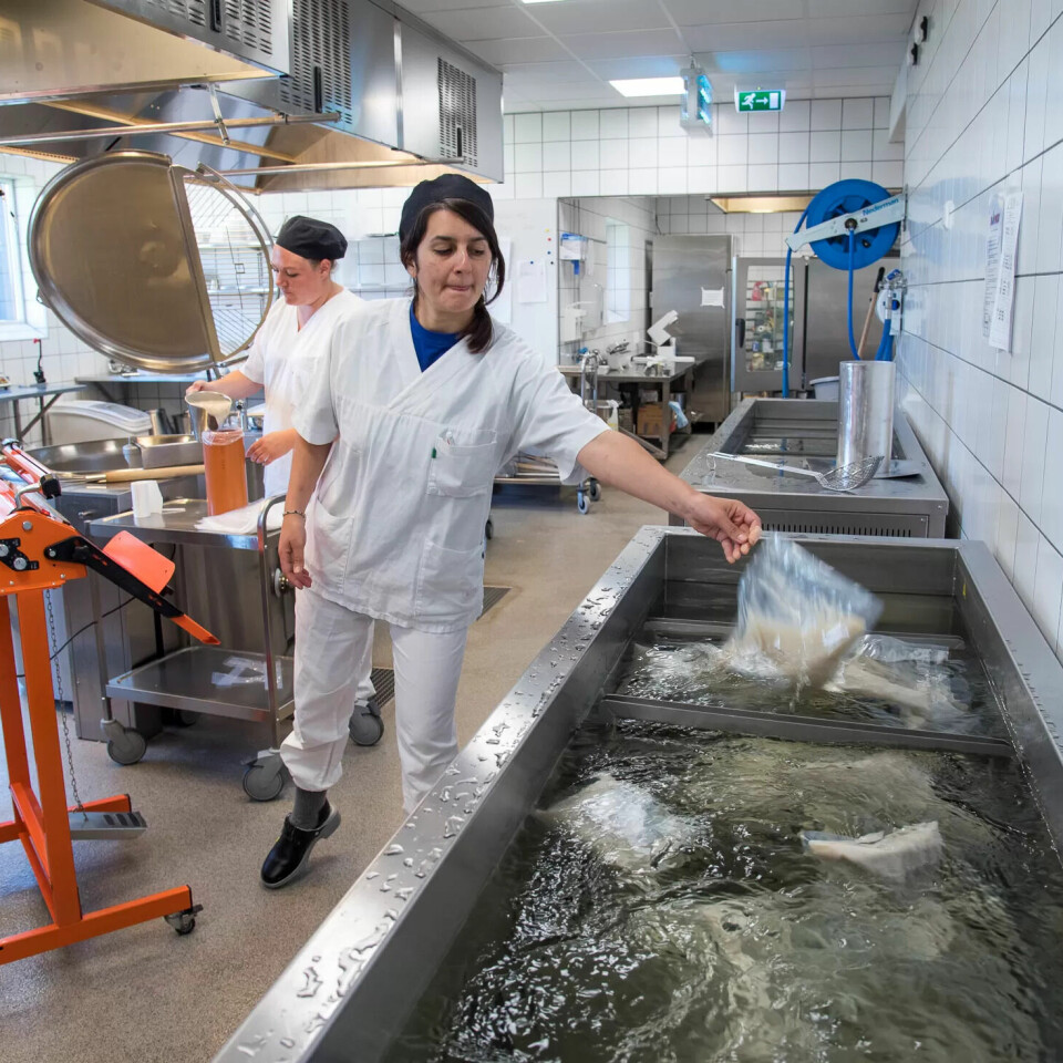 EFFEKTIVT: Linda Sommerro pakker hundre liter havresuppe som Francesca Leva Di Vincenzo leggr til kjøling. EFFEKTIVT: Linda Sommerro pakker hundre liter havresuppe som Francesca Leva Di Vincenzo leggr til kjøling.
