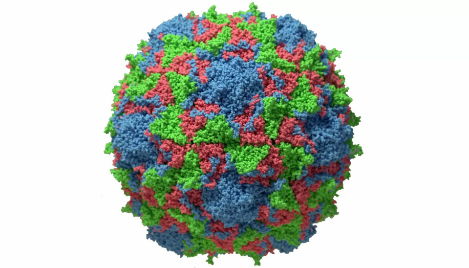 Dette skjedde forrige gang Norge ble endret av et virus