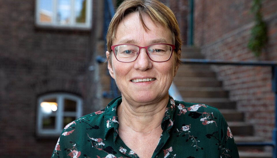 FORSKER: Kristine Nergaard ved Fafo har skrevet rapporten. FORSKER: Kristine Nergaard ved Fafo har skrevet rapporten.