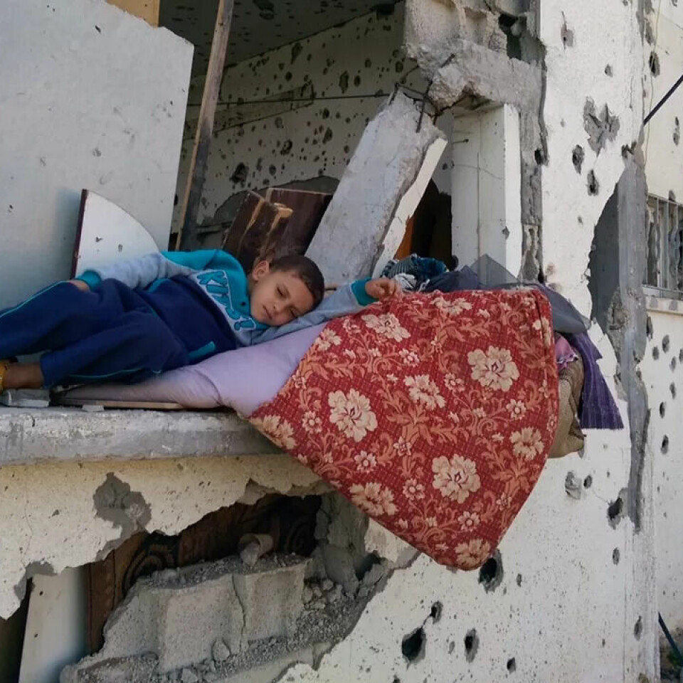 SLITER: Mohammad Faraj prøver å slappe av under en hetebølge i Gaza - han og familien strever for å få endene til å møtes under blokkaden - nesten 80 prosent av innbyggerne mottar en form for sosialstønad. SLITER: Mohammad Faraj prøver å slappe av under en hetebølge i Gaza - han og familien strever for å få endene til å møtes under blokkaden - nesten 80 prosent av innbyggerne mottar en form for sosialstønad.