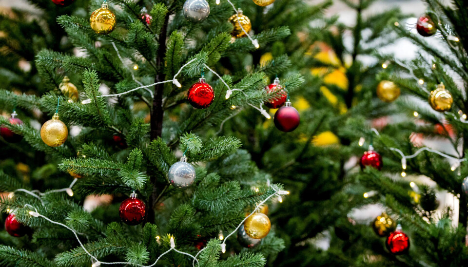 FRI: Flere vil ha fri for å følge barn eller barnebarn på ulike feiringer i desember. FRI: Flere vil ha fri for å følge barn eller barnebarn på ulike feiringer i desember.