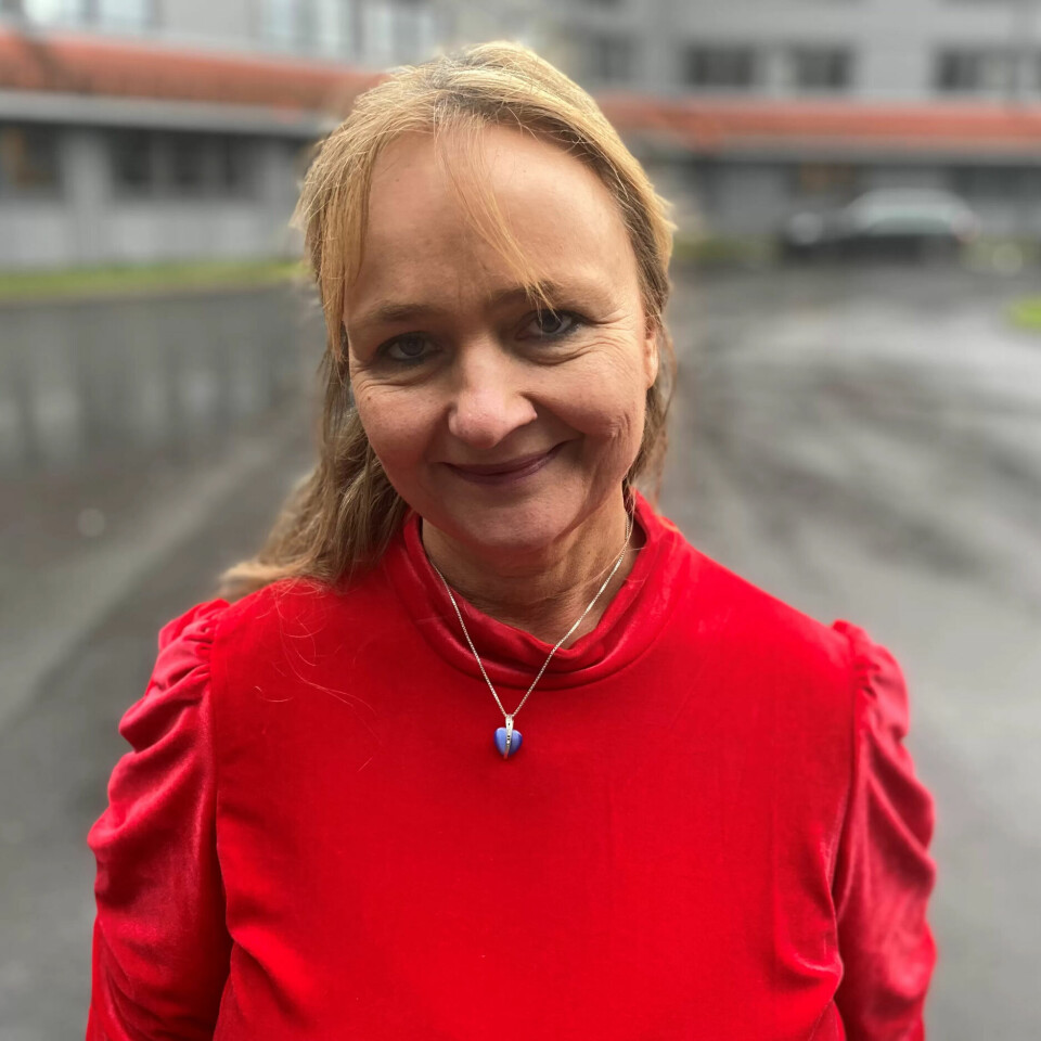 BEKYMRET FOR BARNEVERNSANSATTE: Iren Luther i Fagforbundet. BEKYMRET FOR BARNEVERNSANSATTE: Iren Luther i Fagforbundet.