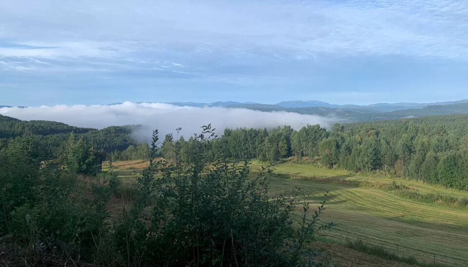 HØY PÅ FRISK LUFT: Mestringshusene på Bolkesjø ligger i naturskjønne omgivelser. Bente har brukt mye tid på å gå tur i området. Dette bildet tok hun under oppholdet. HØY PÅ FRISK LUFT: Mestringshusene på Bolkesjø ligger i naturskjønne omgivelser. Bente har brukt mye tid på å gå tur i området. Dette bildet tok hun under oppholdet.