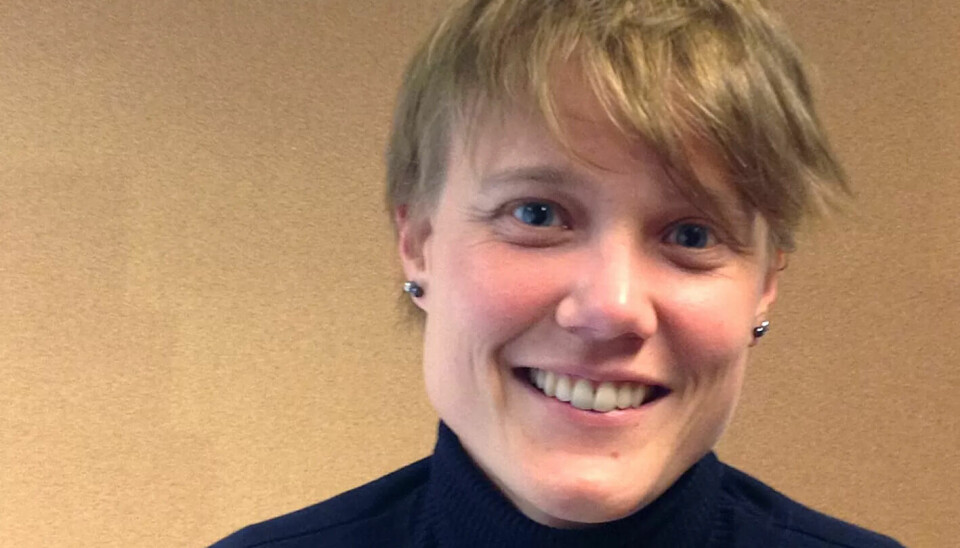 Forsker Anne Cecilie Bergene advarer mot å svekke stillingsvernet. Forsker Anne Cecilie Bergene advarer mot å svekke stillingsvernet.