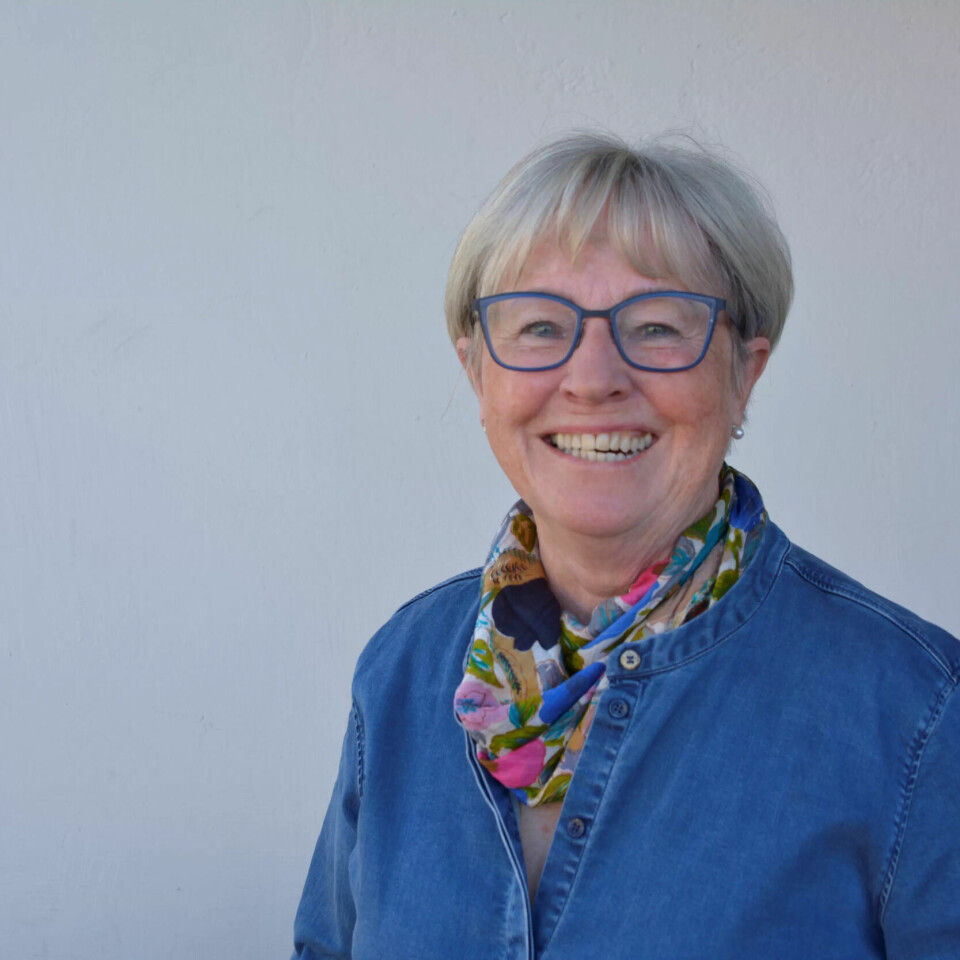 TYDELIG: Turid Lilleheie, tidligere forbundsleder NTL, er tydelig i sine innspill til stortingskomiteen som skal ta stilling til Frp-forslaget. TYDELIG: Turid Lilleheie, tidligere forbundsleder NTL, er tydelig i sine innspill til stortingskomiteen som skal ta stilling til Frp-forslaget.