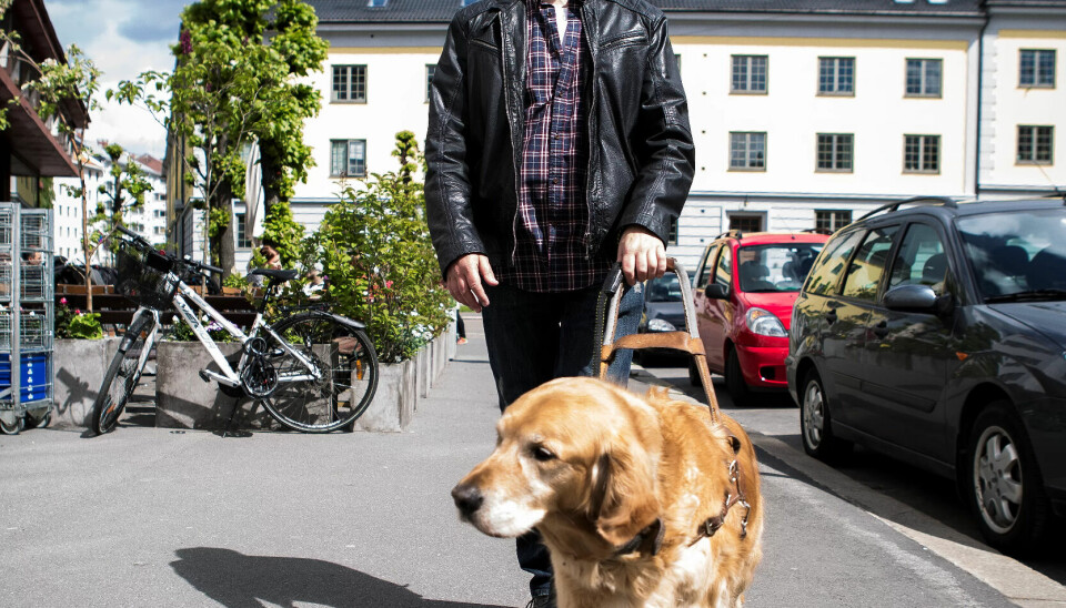 PÅ VEI TIL JOBB: I det daglige ledsages blinde Philip Seiergren av den ni år gamle golden retreiveren 'Nikko' PÅ VEI TIL JOBB: I det daglige ledsages blinde Philip Seiergren av den ni år gamle golden retreiveren 'Nikko'