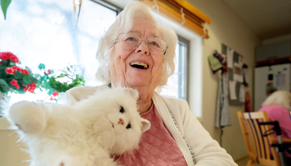 Kunstig: Bjørg Ferstad (85) liker godt robotkatten på sykehjemmet som maler og mjauer. Men hun liker også godt hunden Lucky som kommer på besøk i avdelingen. Kunstig: Bjørg Ferstad (85) liker godt robotkatten på sykehjemmet som maler og mjauer. Men hun liker også godt hunden Lucky som kommer på besøk i avdelingen.