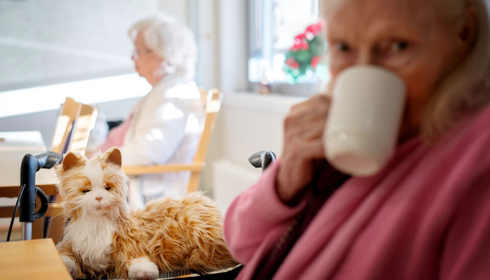 Samspill: Ann Mari «Vesla» Engh (81) er blant sykehjemsbeboerne som har glede og nytte av en robotkatt. Slik velferdsteknologi passer ikke for alle. Samspill: Ann Mari «Vesla» Engh (81) er blant sykehjemsbeboerne som har glede og nytte av en robotkatt. Slik velferdsteknologi passer ikke for alle.