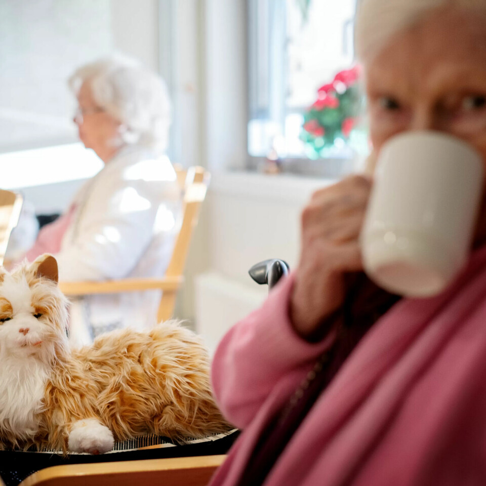 Samspill: Ann Mari «Vesla» Engh (81) er blant sykehjemsbeboerne som har glede og nytte av en robotkatt. Slik velferdsteknologi passer ikke for alle. Samspill: Ann Mari «Vesla» Engh (81) er blant sykehjemsbeboerne som har glede og nytte av en robotkatt. Slik velferdsteknologi passer ikke for alle.