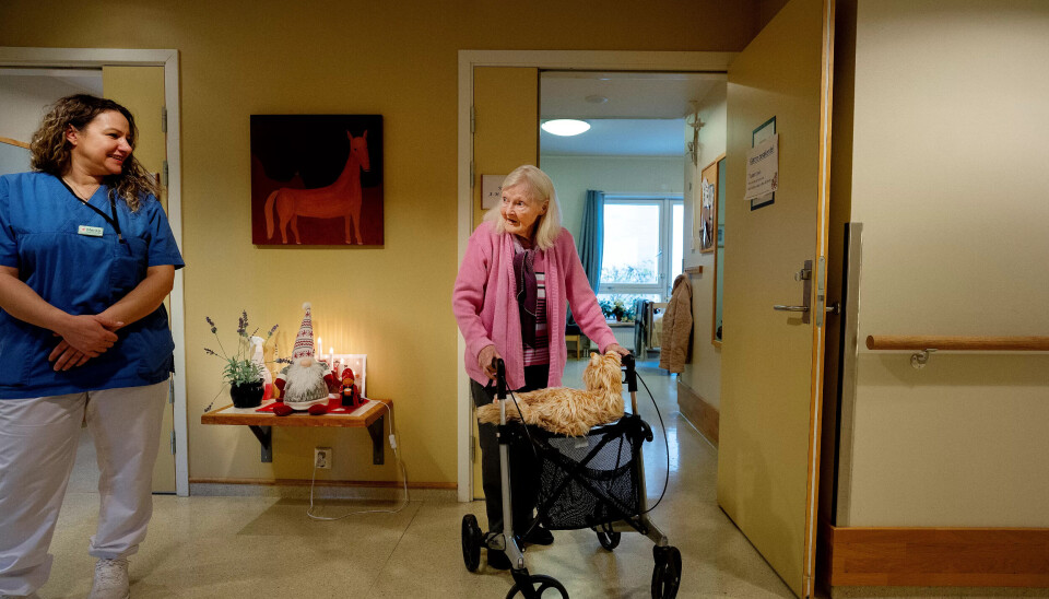Følgesvenn: Hjelpepleier Merita Gashi og Vesla med katten, som nå skal bli med en tur inn på rommet til 81-åringen. Følgesvenn: Hjelpepleier Merita Gashi og Vesla med katten, som nå skal bli med en tur inn på rommet til 81-åringen.