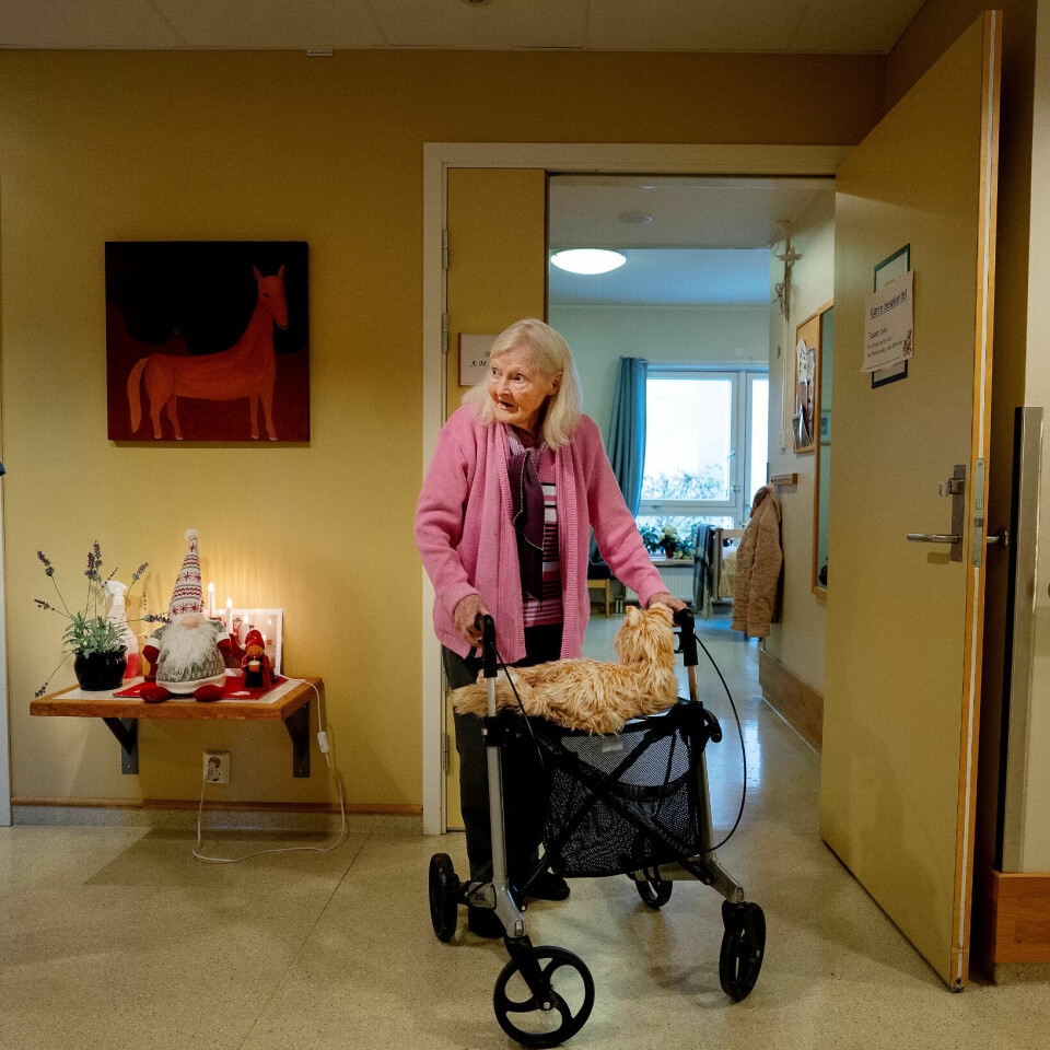 Følgesvenn: Hjelpepleier Merita Gashi og Vesla med katten, som nå skal bli med en tur inn på rommet til 81-åringen. Følgesvenn: Hjelpepleier Merita Gashi og Vesla med katten, som nå skal bli med en tur inn på rommet til 81-åringen.