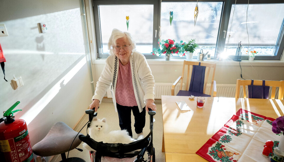 Går sammen: Den kunstige katten blir med når Bjørg (85) skal ta seg en liten hvil før en barnehage kommer på besøk til sykehjemmet. Katten har sin fast plass i en lenestol på rommet hennes. Går sammen: Den kunstige katten blir med når Bjørg (85) skal ta seg en liten hvil før en barnehage kommer på besøk til sykehjemmet. Katten har sin fast plass i en lenestol på rommet hennes.