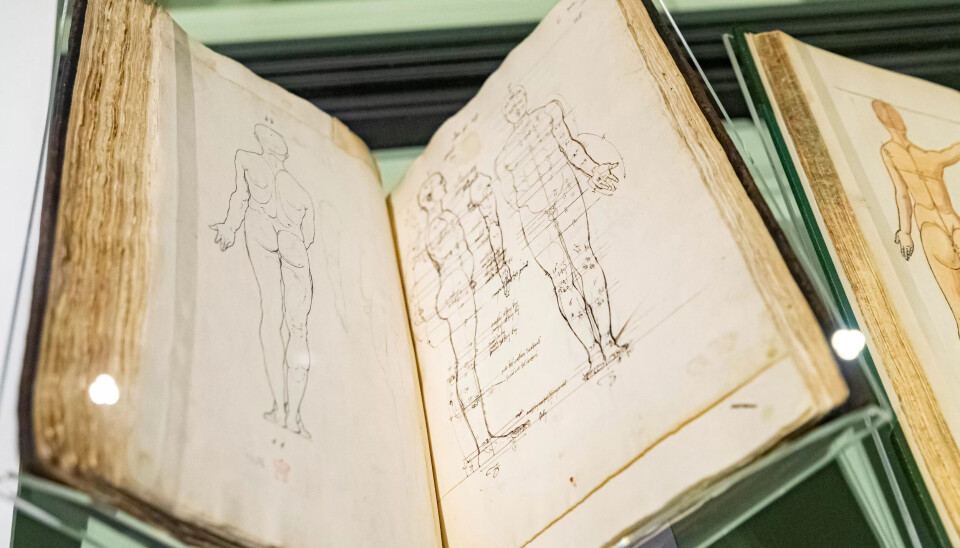 GRATIS Å KIKKE PÅ: John Ritblat Galleriet er den ene sjeldenheten etter den andre utstilt. Det er gratis å komme inn og kikke på blant annet Leonardo da Vincis verker. GRATIS Å KIKKE PÅ: John Ritblat Galleriet er den ene sjeldenheten etter den andre utstilt. Det er gratis å komme inn og kikke på blant annet Leonardo da Vincis verker.