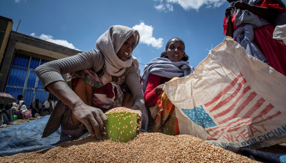 HJELP: En kvinne i Tigray-regionen i Etiopia får hvete fra en sekk fra USAID. Bildet er tatt i 2001. HJELP: En kvinne i Tigray-regionen i Etiopia får hvete fra en sekk fra USAID. Bildet er tatt i 2001.
