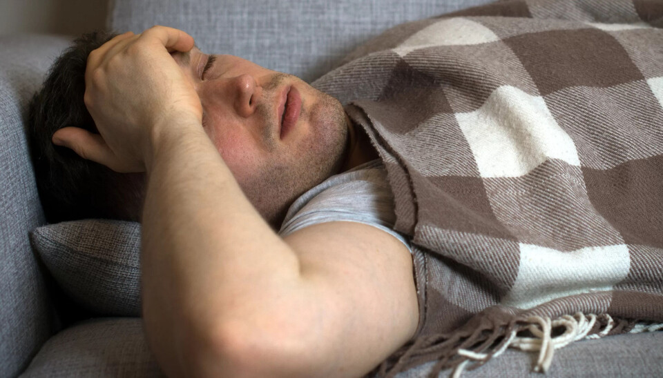 EN HØNEBLUND ER OK: Har du søvnproblemer, bør du unngå å sove på dagtid (med mindre du jobber nattevakter, selvsagt). For de fleste er det imidlertid greit med en høneblund mer enn seks timer før sengetid, men den bør ikke vare mer enn 20 minutter, forteller lege og søvnekspert Bjørn Bjorvatn. EN HØNEBLUND ER OK: Har du søvnproblemer, bør du unngå å sove på dagtid (med mindre du jobber nattevakter, selvsagt). For de fleste er det imidlertid greit med en høneblund mer enn seks timer før sengetid, men den bør ikke vare mer enn 20 minutter, forteller lege og søvnekspert Bjørn Bjorvatn.