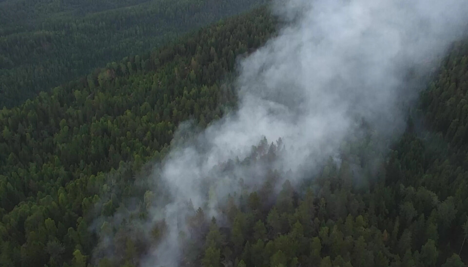 Nedre Romerike brannvesen har utdannet fem dronepiloter til skogbrannbekjempelse. Det har de hatt god nytte av i år. Nedre Romerike brannvesen har utdannet fem dronepiloter til skogbrannbekjempelse. Det har de hatt god nytte av i år.