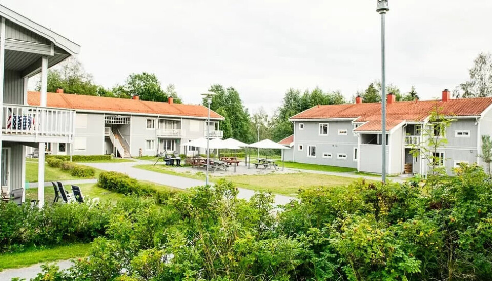 BURETTSLAG: Recoveryakademiet driv blant anna Stensbyhagen Recoverybaserte Borettslag i Minnesund. BURETTSLAG: Recoveryakademiet driv blant anna Stensbyhagen Recoverybaserte Borettslag i Minnesund.