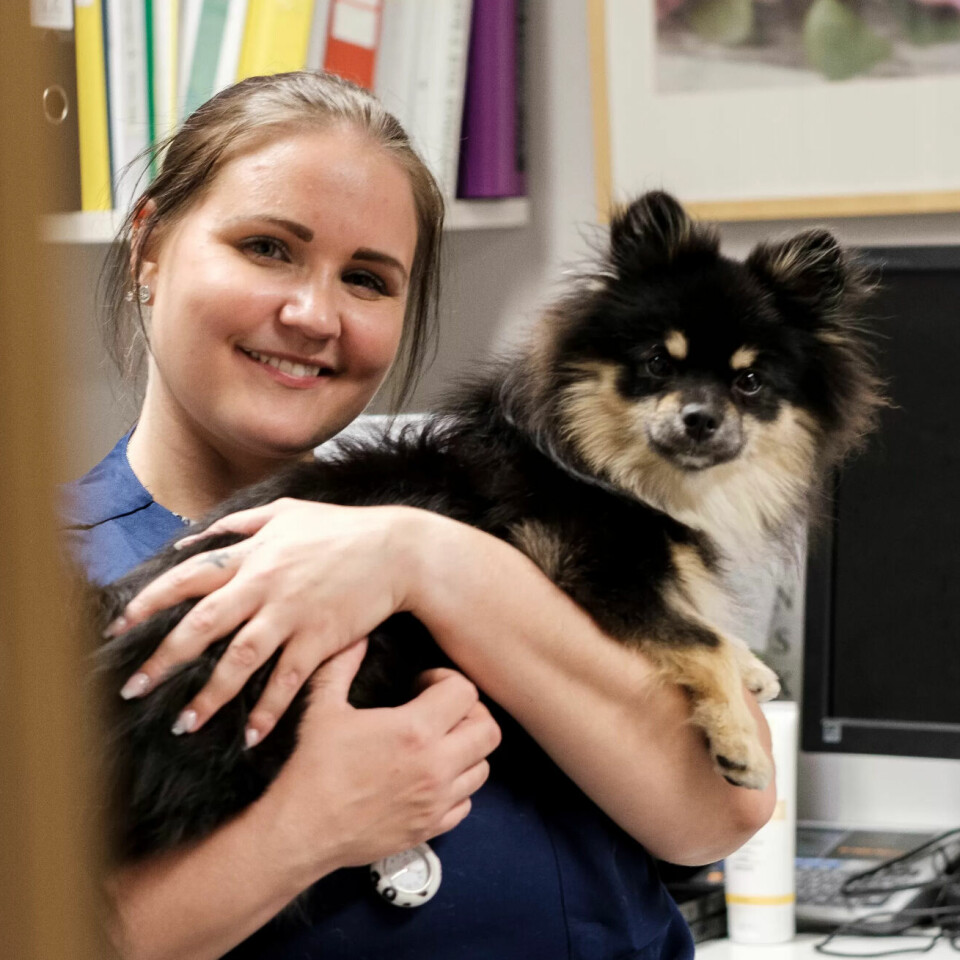 NATTMENNESKE: Therese Ekremsæter setter pris på at hun kan ha med hunden Thyra på jobb på nattevakt. NATTMENNESKE: Therese Ekremsæter setter pris på at hun kan ha med hunden Thyra på jobb på nattevakt.