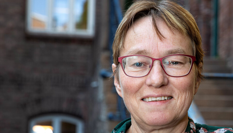 Kristine Nergaard er forsker ved forskningsstiftelsen Fafo og ekspert på lønnsforhandlinger og arbeidsliv. Kristine Nergaard er forsker ved forskningsstiftelsen Fafo og ekspert på lønnsforhandlinger og arbeidsliv.