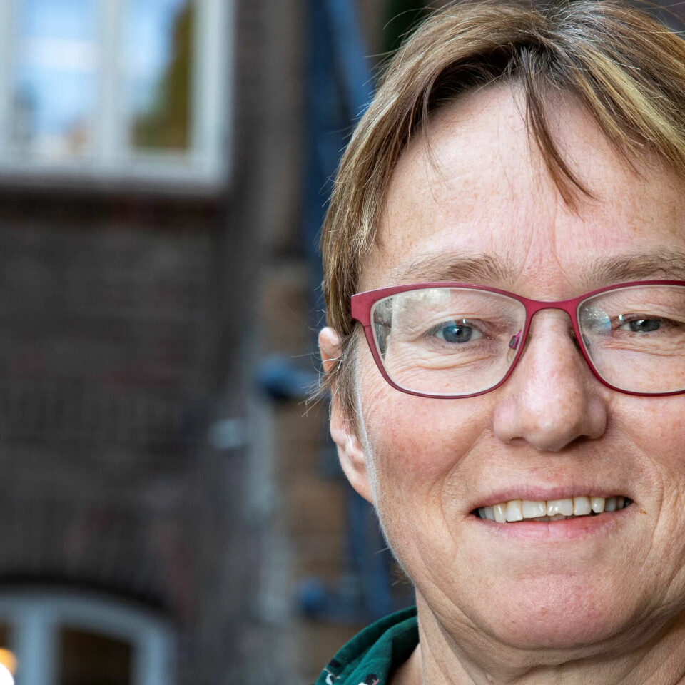 Kristine Nergaard er forsker ved forskningsstiftelsen Fafo og ekspert på lønnsforhandlinger og arbeidsliv. Kristine Nergaard er forsker ved forskningsstiftelsen Fafo og ekspert på lønnsforhandlinger og arbeidsliv.
