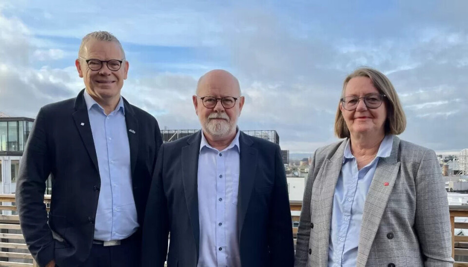 BEREDT FOR MEKLING: F. v.: Trond Ellefsen I Delta, Terje Skyvulstad I Utdanningsforbundet og Anne Green Nilsen I Fagforbundet. BEREDT FOR MEKLING: F. v.: Trond Ellefsen I Delta, Terje Skyvulstad I Utdanningsforbundet og Anne Green Nilsen I Fagforbundet.