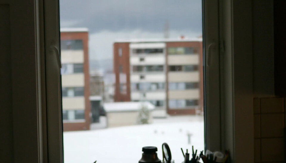 NYE OMGIVELSER: Berits utsikt fra kjøkkenet i den nye leiligheten. NYE OMGIVELSER: Berits utsikt fra kjøkkenet i den nye leiligheten.