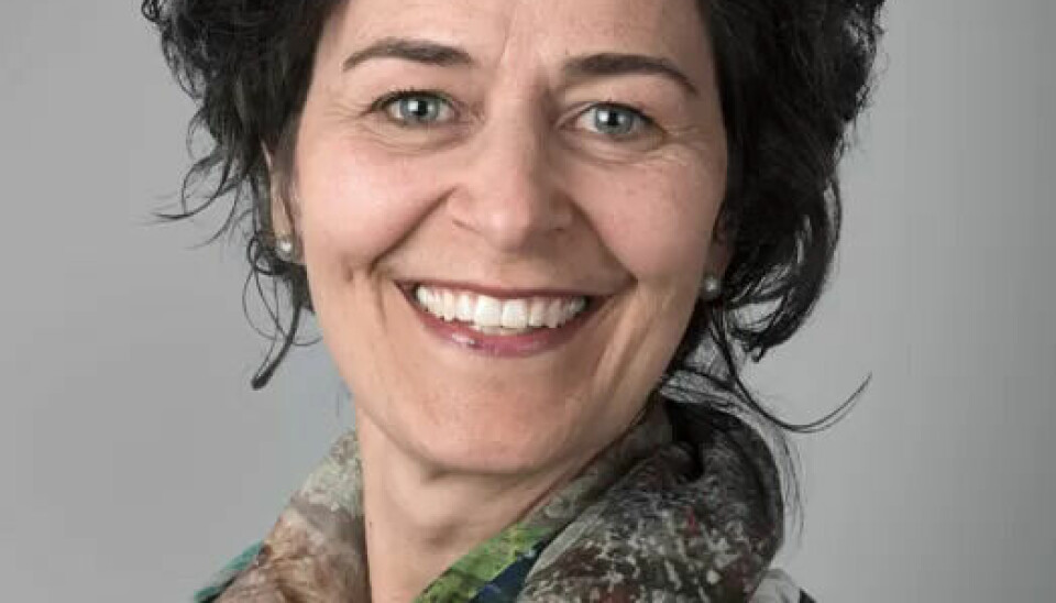 Mette K. Reiten, juridisk rådgiver i rådgivningsselskapet Compendia. Mette K. Reiten, juridisk rådgiver i rådgivningsselskapet Compendia.
