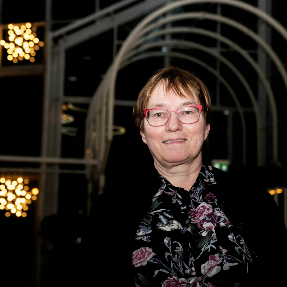 EKSPERT: Fafos Kristine Nergaard sier det stemmer at organisasjonsgraden har gått ned siden år 2000, men at den de siste ti årene har vært stabil. EKSPERT: Fafos Kristine Nergaard sier det stemmer at organisasjonsgraden har gått ned siden år 2000, men at den de siste ti årene har vært stabil.