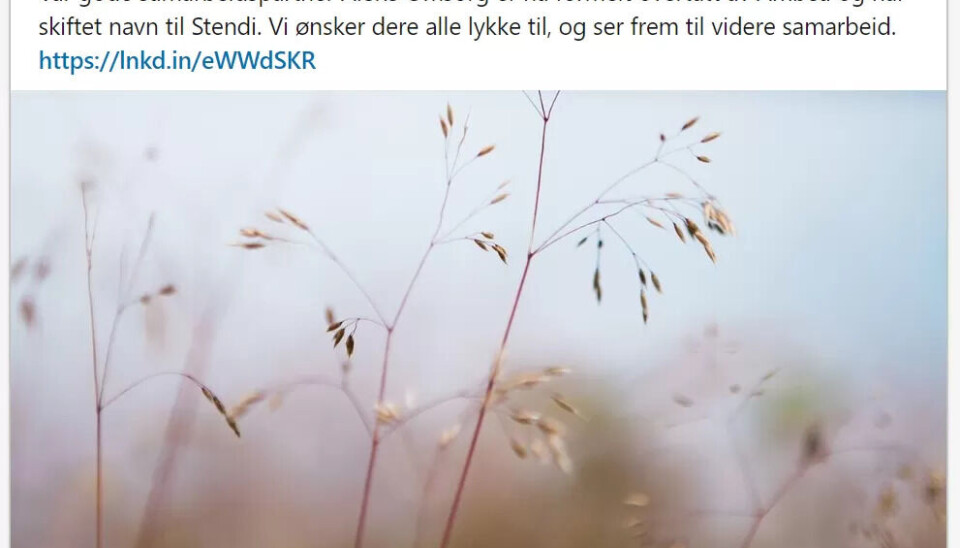 GOD SAMARBEIDSPARTNER: Skagerak og Stendi har hatt et tett samarbeid i flere år, og har hatt kontor på samme adresse flere steder i landet. GOD SAMARBEIDSPARTNER: Skagerak og Stendi har hatt et tett samarbeid i flere år, og har hatt kontor på samme adresse flere steder i landet.