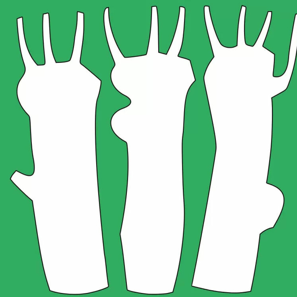 BEST: Dette er kommunevåpenet til landets beste kommune på service og informasjon. BEST: Dette er kommunevåpenet til landets beste kommune på service og informasjon.