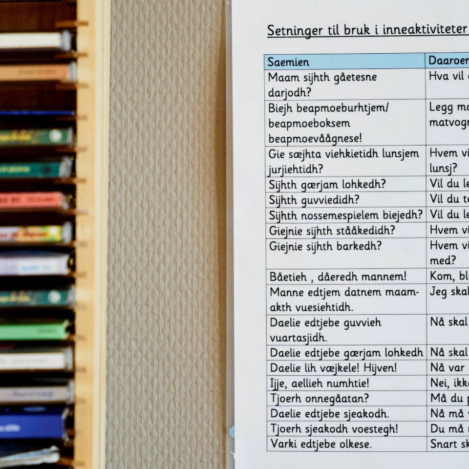 Ikke alle barna har sørsamisk som hjemmespråk. Morten Berg, styrer i den samiske barnehagen, mener bøkene er et godt hjelpemiddel. Ikke alle barna har sørsamisk som hjemmespråk. Morten Berg, styrer i den samiske barnehagen, mener bøkene er et godt hjelpemiddel.