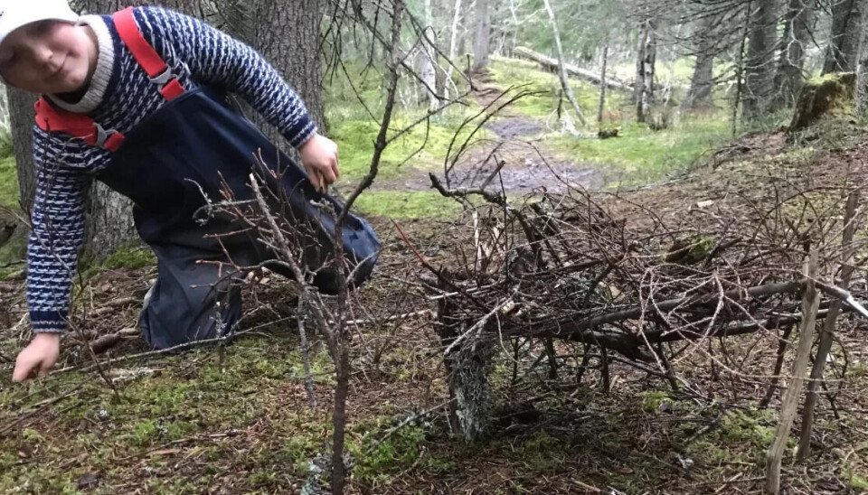 SKÅNSOMT: Pinnehuset Ludvig har bygget her, er bygget av pinner som allerede lå på bakken. SKÅNSOMT: Pinnehuset Ludvig har bygget her, er bygget av pinner som allerede lå på bakken.