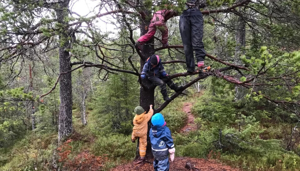 GJEST I NATUREN: Haukåsen friluftsbarnehage har som mål å gi barna en god oppdragelse på hvordan man lever i samsvar med naturen. GJEST I NATUREN: Haukåsen friluftsbarnehage har som mål å gi barna en god oppdragelse på hvordan man lever i samsvar med naturen.