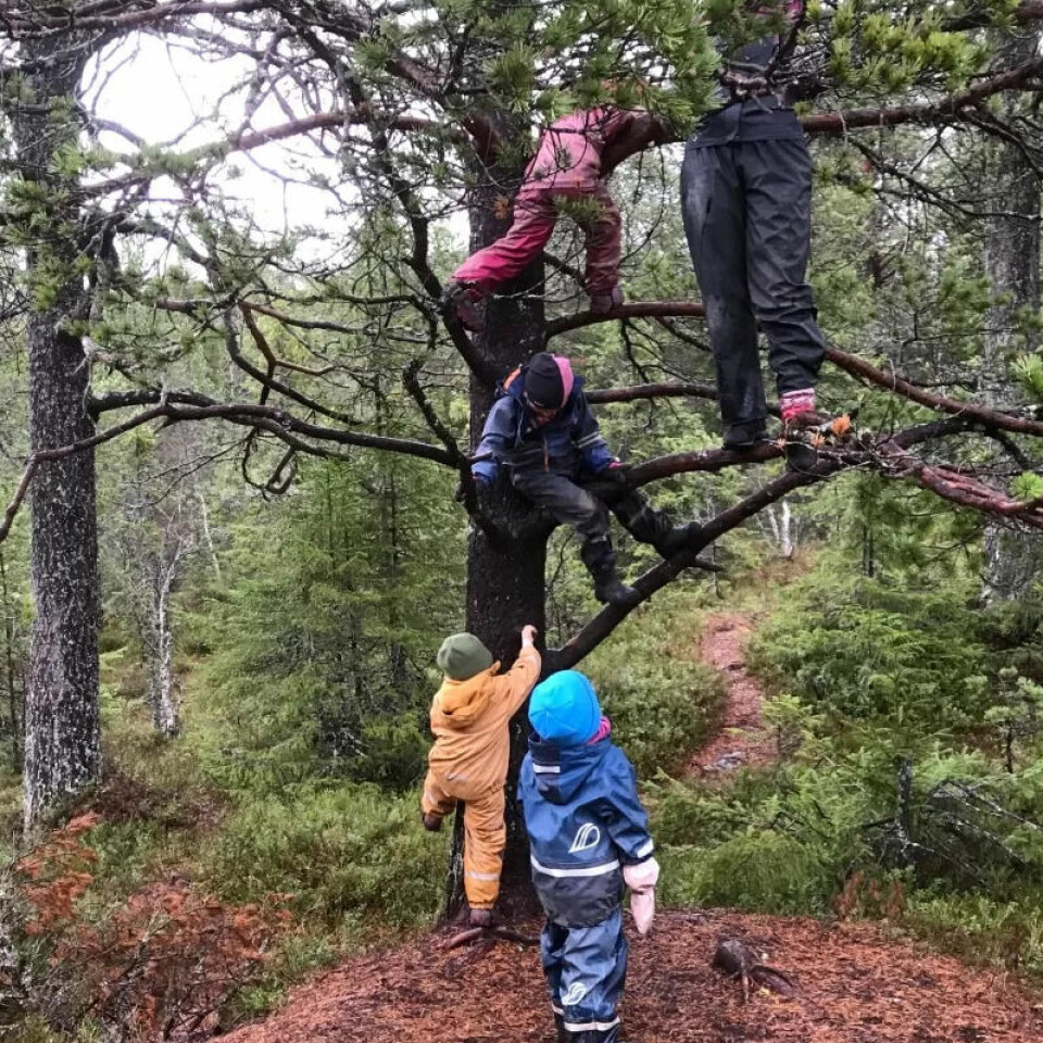 GJEST I NATUREN: Haukåsen friluftsbarnehage har som mål å gi barna en god oppdragelse på hvordan man lever i samsvar med naturen. GJEST I NATUREN: Haukåsen friluftsbarnehage har som mål å gi barna en god oppdragelse på hvordan man lever i samsvar med naturen.