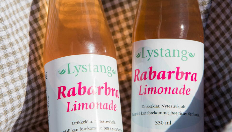 HJEMMELAGET: Norunn Haugholt får bruk for agronomutdanningen når hun dyrker rabarbra. Campinggjestene kan nyte rabarbralimonade og hjemmelaget pai. HJEMMELAGET: Norunn Haugholt får bruk for agronomutdanningen når hun dyrker rabarbra. Campinggjestene kan nyte rabarbralimonade og hjemmelaget pai.