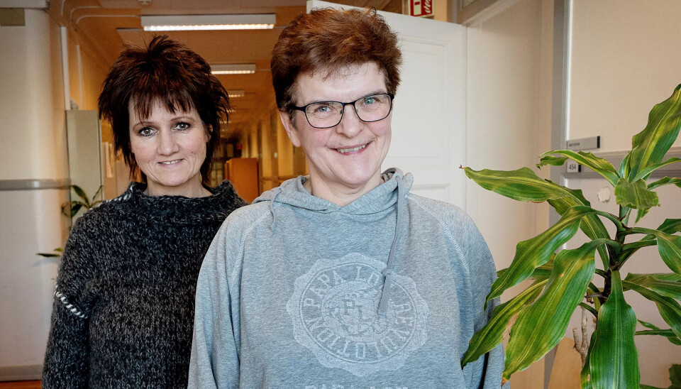 MER KOMPETANSE: Matvertene Nina Eriksen (55) og Kirsten Pederssen Eide (53) har travle dager som matverter i sykehus. Nå kan de også få mer kompetanse. MER KOMPETANSE: Matvertene Nina Eriksen (55) og Kirsten Pederssen Eide (53) har travle dager som matverter i sykehus. Nå kan de også få mer kompetanse.